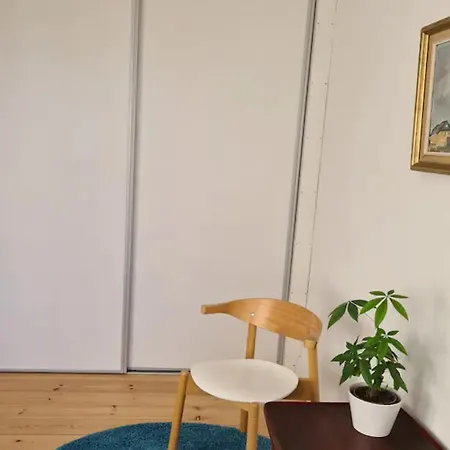 Lägenhet Hyggeligt Byhus I Hjertet Af Viborg